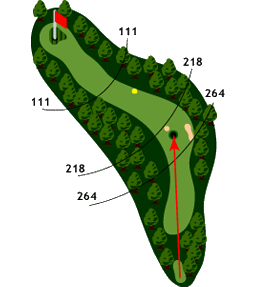 Hole 4 - Map