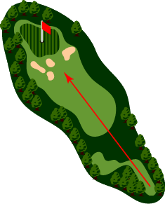 Hole 7 - Map