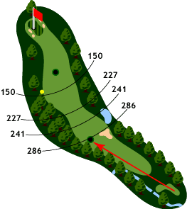 Hole 8 - Map