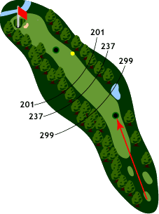 Hole 11 - Map