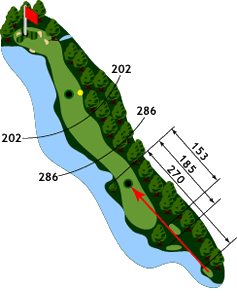 Hole 14 - Map